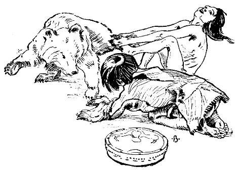 [Illustration] from Indian Boyhood by Charles Eastman