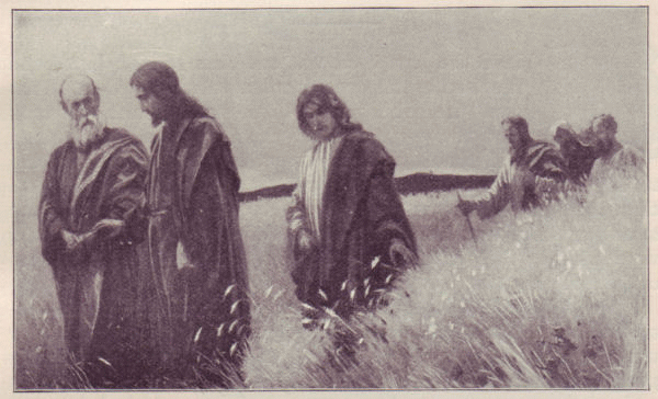 Jesus and his disciples in the field of grain