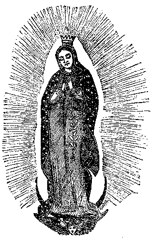 Virgin of Guadalupe.