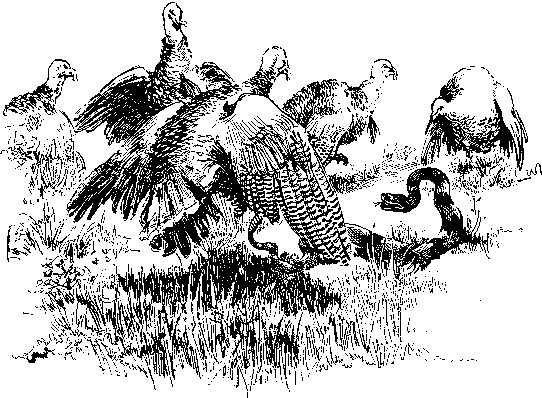 [Illustration] from Philip of Texas by James Otis