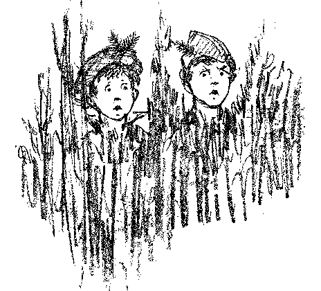 [Illustration] from Scotch Twins by Lucy F. Perkins